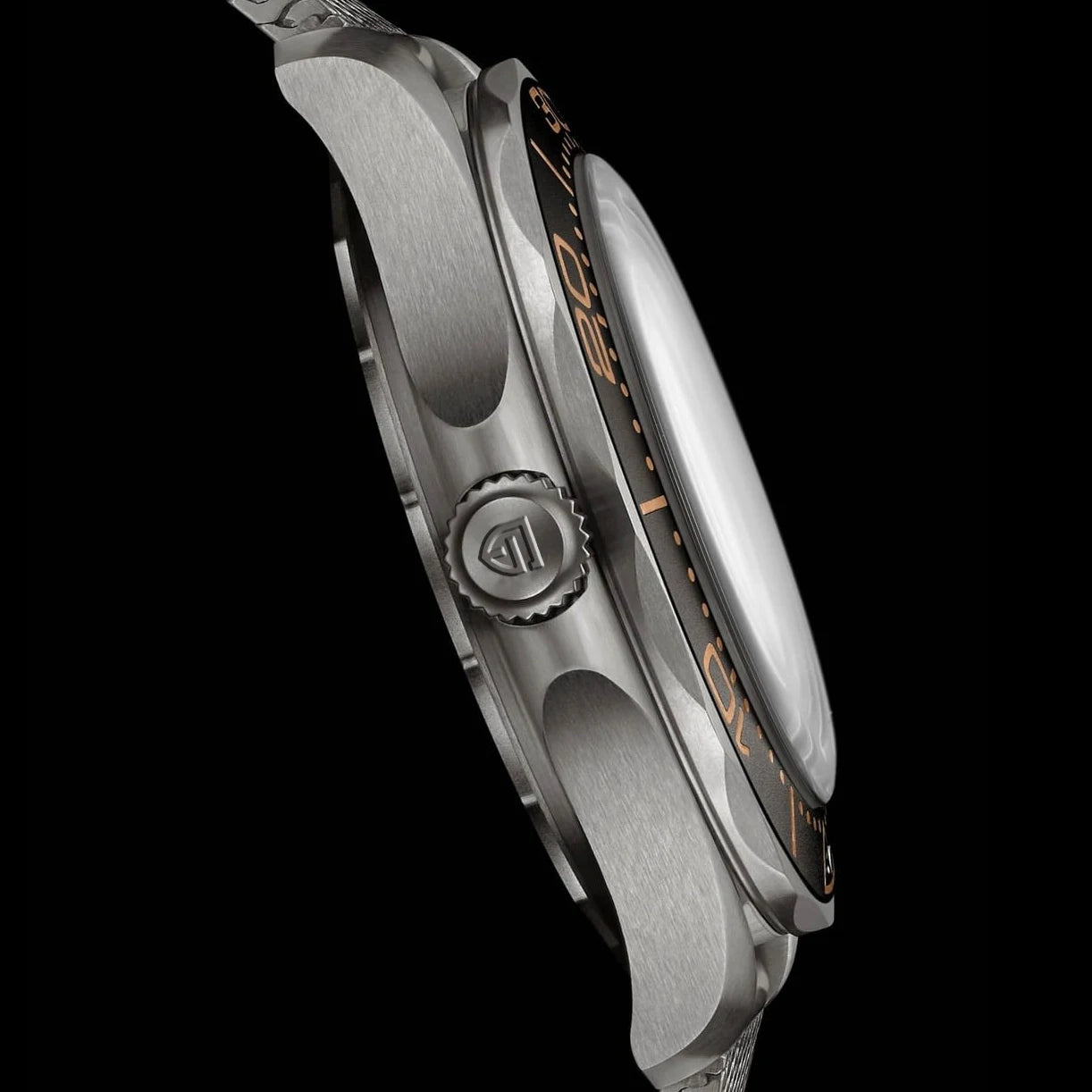 PAGANI DESIGN NH35 Automatic Diving Watch